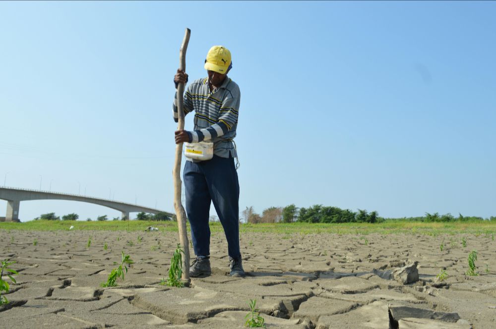 climate problem somali roots